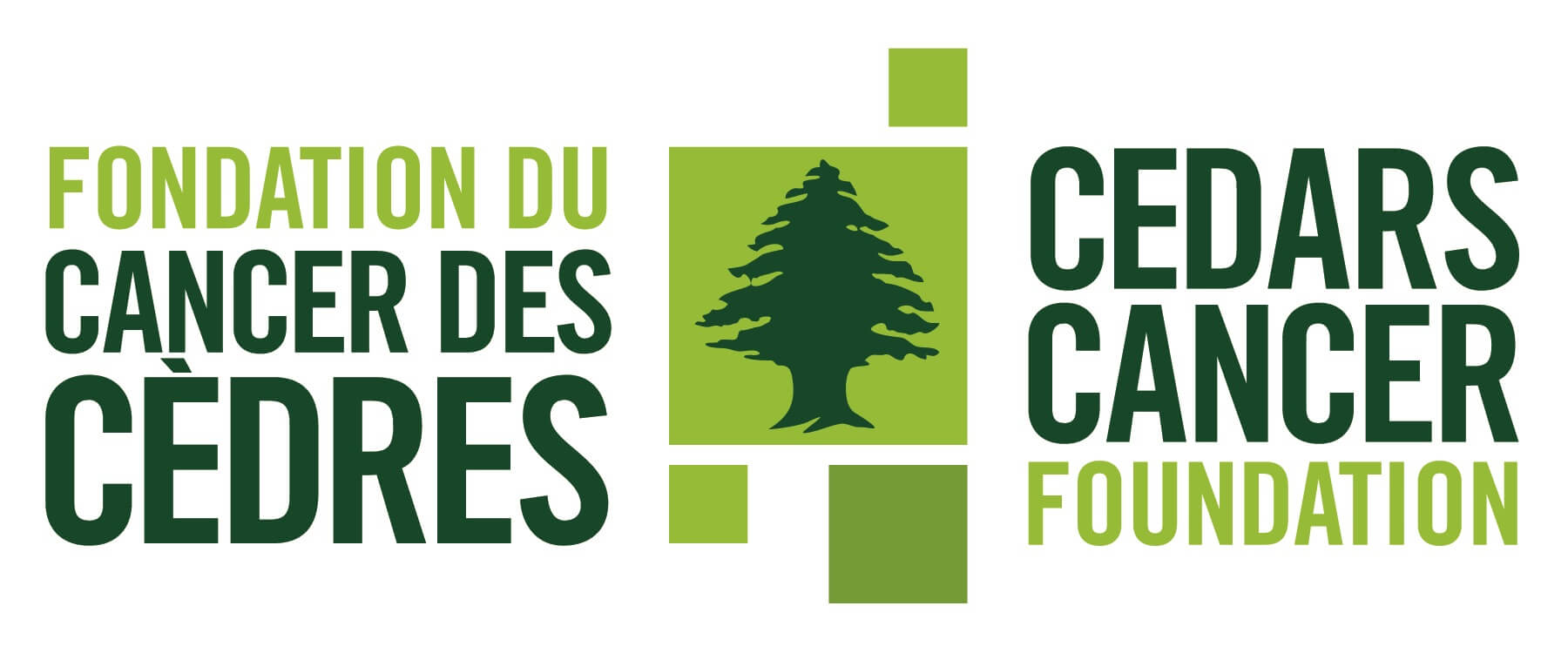 Cedars cancer foundation